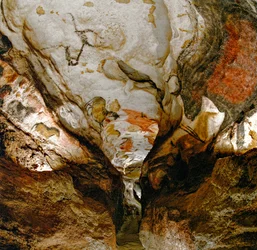 Die Axial-Galerie zeigt ausgestorbene Auerochsen an der Decke der Höhle von Lascaux, Frankreich