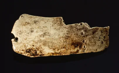Das Bild eines Mammuts ist auf einem prähistorischen Mammut-Elfenbein geschnitzt