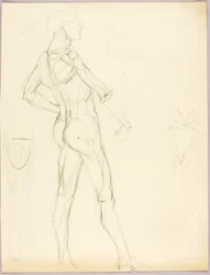 Anatomische Studie