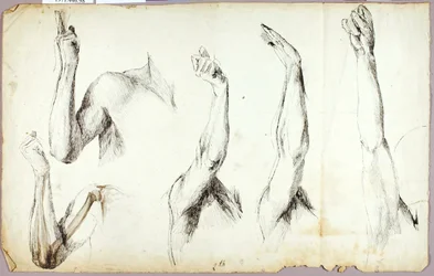Armstudien, Nr. 2