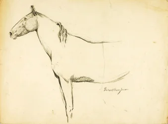 Pferd
