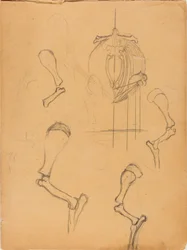 Skizzenbuch