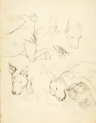 Schlafende Hunde