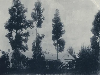 Eine niederländische Farm, in der Nähe der New Croesus Gold Mining Company