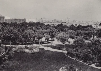Cadiz: Parque Genovés
