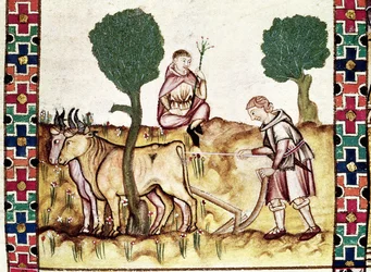 Fol.237r Ein Bauer lehrt seinen Sohn, ein Feld zu pflügen