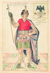Illustration von Cincheroca, aus 