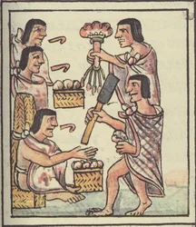 Ms Palat. 218-220 Ein aztekisches Fest, aus dem Florentiner Kodex von Bernardino de Sahagun, ca. 1540-85