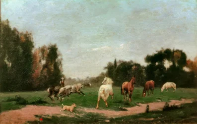 Pferde, die sich auf der Wiese tummeln