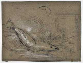 Fischstudie