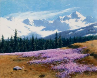 Krokusse mit schneebedeckten Bergen im Hintergrund