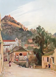 Abend, Cintra