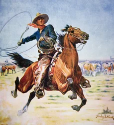 Texanischer Cowboy