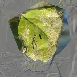 Abstraktes Grünes Blatt