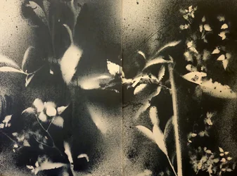 Ätherische botanische Formen