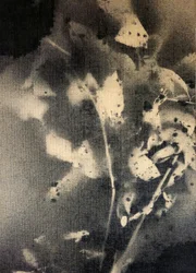 Ätherische botanische Formen