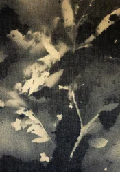 Ätherische botanische Silhouetten