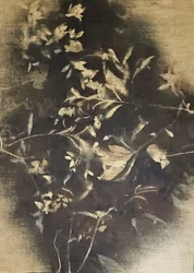 Stimmungsvolle Blütenschatten