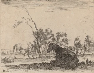 Pferde auf einer Weide, 1642