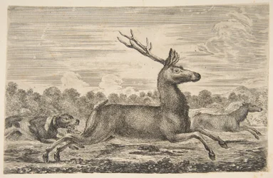 Hunde jagen einen Hirsch und eine Hirschkuh, ca. 1654
