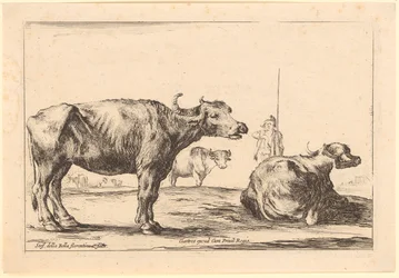 Kühe, Blatt 8 der Folge "Verschiedene Figuren"
