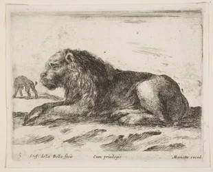 Tafel 5: liegender Löwe, aus Verschiedene Tiere Diversi animali, 1641