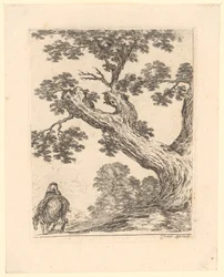 Reiter in Rückenansicht unter einem großen Baum