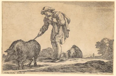 Schweinehirt