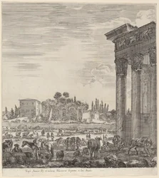 Tempel des Antonius und das Campo Vaccino