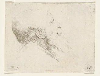 Kopf eines kahlen alten Mannes