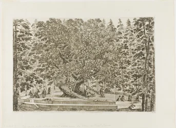 Der Brunnen der Eiche