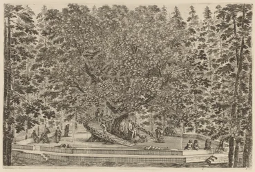 Der bewohnte Baum, wahrscheinlich 1653