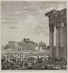 Der Tempel von Antonin und das Campo Vaccino