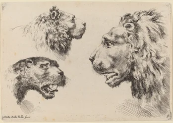 Drei Löwenköpfe, wahrscheinlich 1649