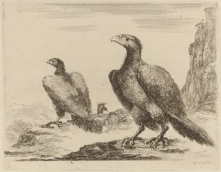 Zwei Adler, beide mit Köpfen nach links gedreht, auf einer hohen Klippe