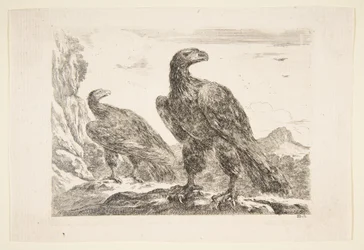 Zwei Adler, aus 