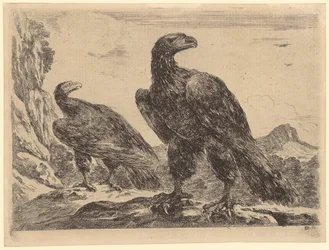 Zwei Adler bei einer Felswand, Blatt 5 der Folge "Adler"