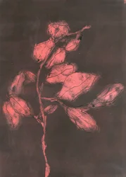 Laub I, 2015
