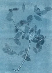Mitternachtsgarten I, 2015