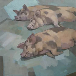 Drei schlafende Schweine