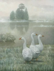Weiße Gänse im Morgennebel