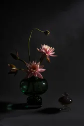 Elegante rosa Lilien