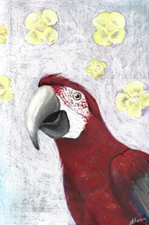 Tropische Ara-Blüten
