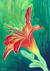 Lebhafte Orange Lilie