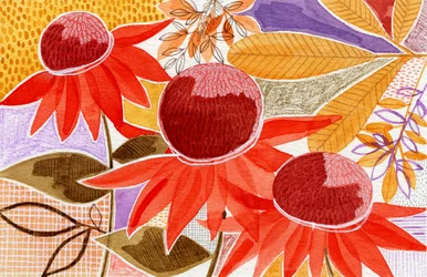 Bunte Herbstblüten