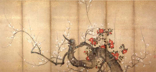 Blühender Pflaumenbaum und Kamelie