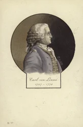 Carl von Linné (1707-1778), schwedischer Botaniker und Zoologe