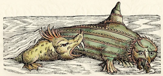 Meereskreaturen, Illustration aus 