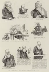 Die Untersuchung und Kreuzverhör von Pigott