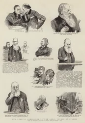 Die Parnell-Kommission am Royal Courts of Justice